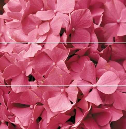 Dekor Fineza Velvet růžová Flowers 75x73 cm lesk DFLOWERS3 Fineza