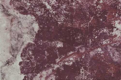 Dlažba Cir Molo Audace rosso d´amante 40x60 cm mat 1067990 Cir