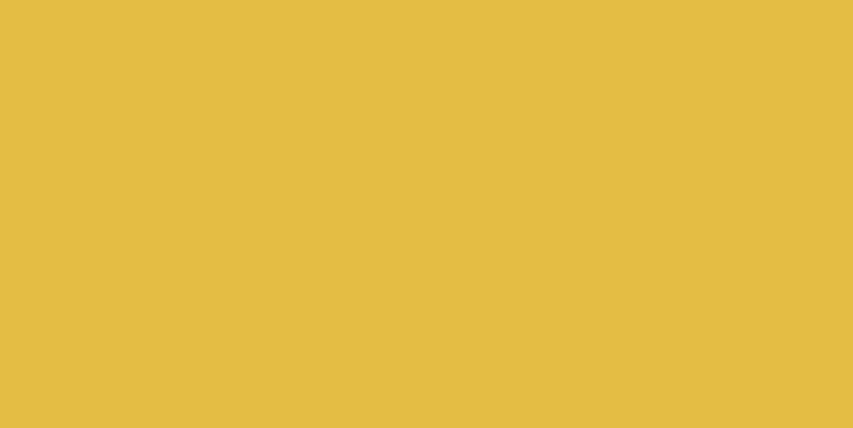 Dlažba Rako Color Two tmavě žlutá 10x20 cm mat GAAD8142.1 Rako